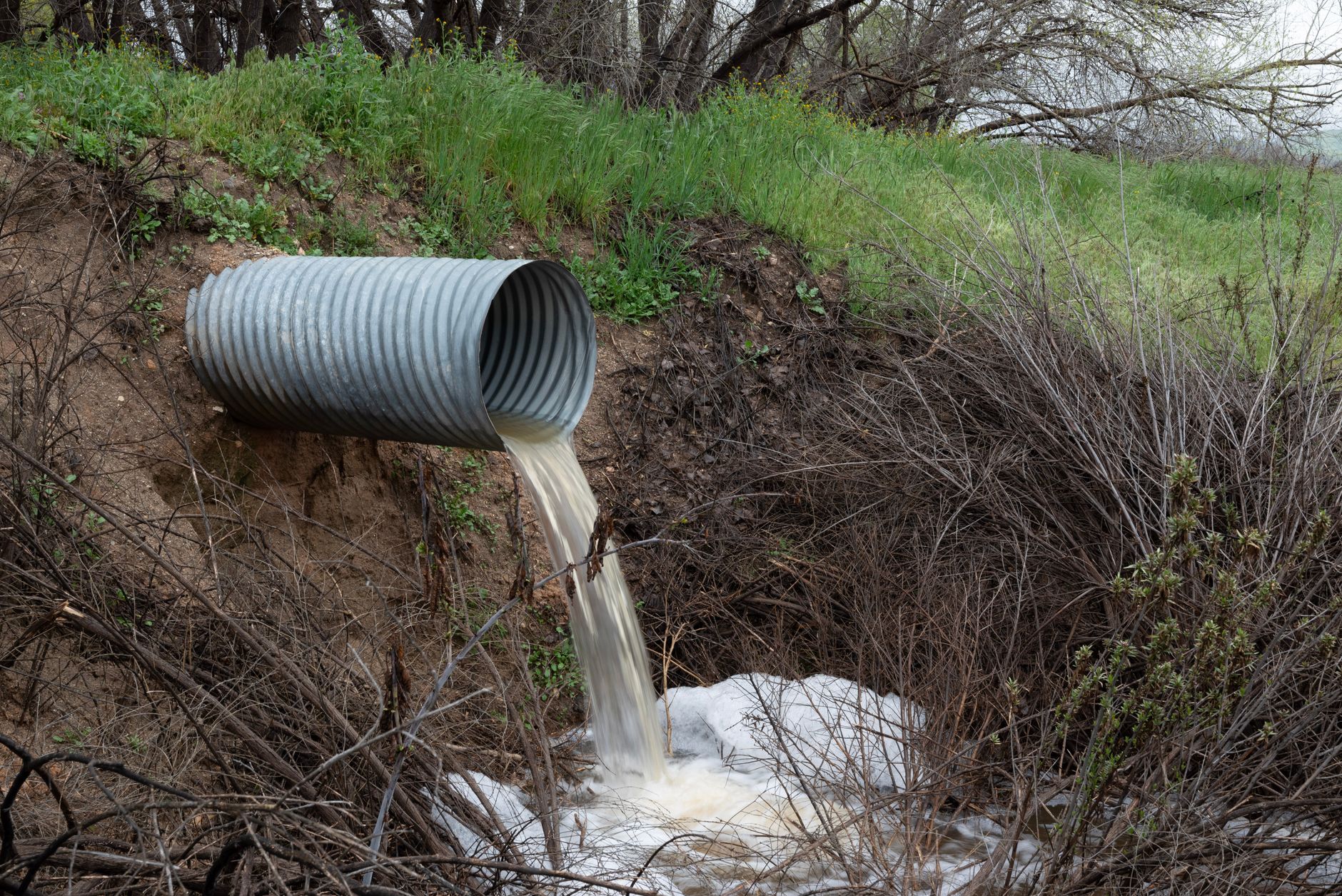 Drain cleaning service in Lee County, NC